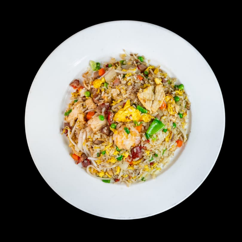 A white plate holds a colorful mix of fried rice with chicken, shrimp, pork, and vegetables.