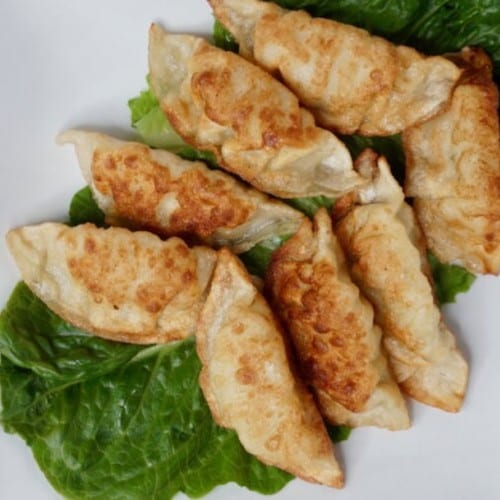 Potstickers (8).
